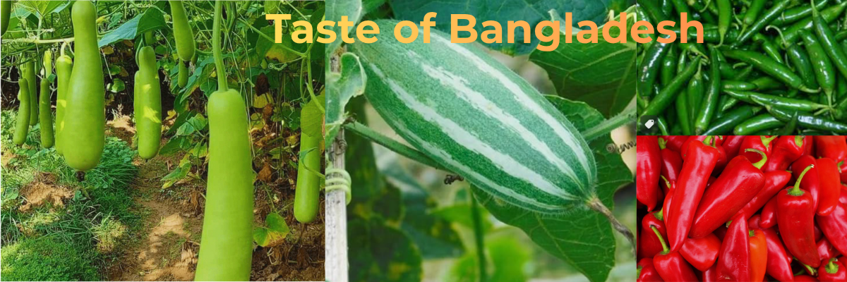 Bangladeshi fresh mixed vegetables for export